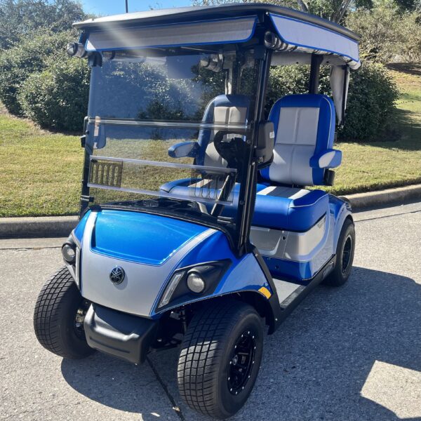 2025 Yamaha Drive2